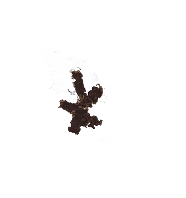 Грати
